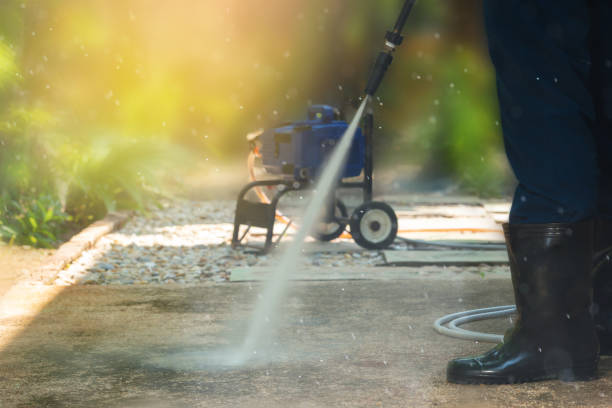 Animal Enclosure Cleaning in Lockhart, FL